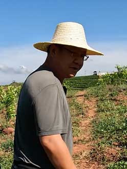 农业人叶涛，50多岁通讯人跨界搞农业，他要用1000万打造一个梦。